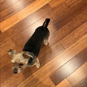 Meet your Posher, Mandy